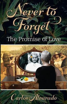 Never To Forget(English, Paperback, Alvarado Carlos)