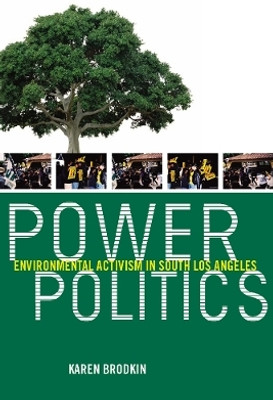 Power Politics(English, Paperback, Brodkin Karen)