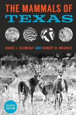 The Mammals of Texas(English, Paperback, Schmidly David J.)