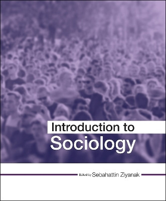 Introduction to Sociology(English, Paperback, unknown)