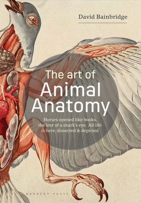 The Art of Animal Anatomy(English, Paperback, Bainbridge David)