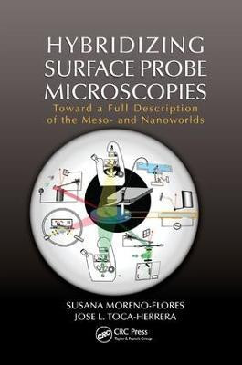 Hybridizing Surface Probe Microscopies(English, Paperback, Moreno-Flores Susana)