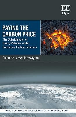 Paying the Carbon Price(English, Hardcover, de Lemos Pinto Aydos Elena)