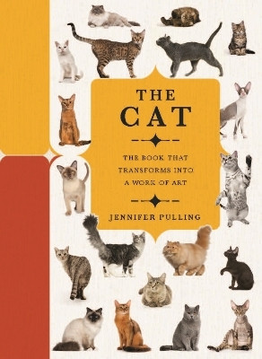 Paperscapes: The Cat(English, Hardcover, Pulling Jennifer)