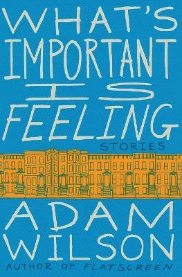 What's Important Is Feeling(English, Paperback, Wilson Adam)