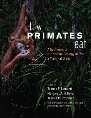 How Primates Eat(English, Hardcover, unknown)