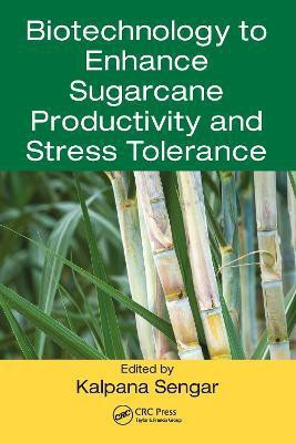 Biotechnology to Enhance Sugarcane Productivity and Stress Tolerance(English, Paperback, unknown)