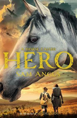 A Horse Called Hero(English, Electronic book text, Angus Sam)