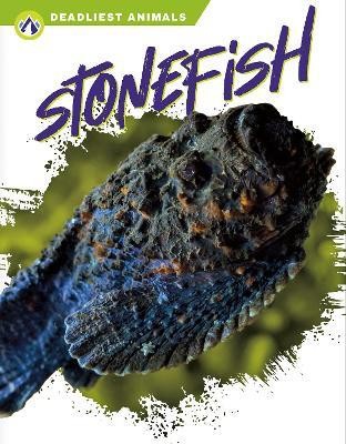 Deadliest Animals: Stonefish(English, Hardcover, Golkar Golriz)