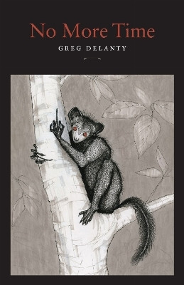 No More Time(English, Paperback, Delanty Greg)