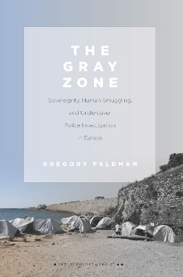 The Gray Zone(English, Hardcover, Feldman Gregory)