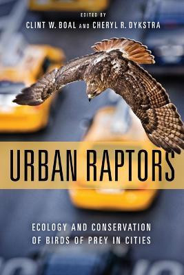 Urban Raptors(English, Paperback, Boal Clint)
