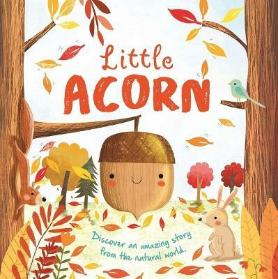 Nature Stories: Little Acorn-Discover an Amazing Story from the Natural World(English, Board book, Igloobooks)