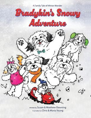 Bradykin's Snowy Adventure(English, Paperback, Downing Susan)