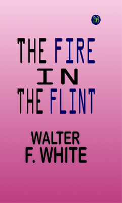 THE FIRE IN THE FLINT(Paperback, WALTER F. WHITE)