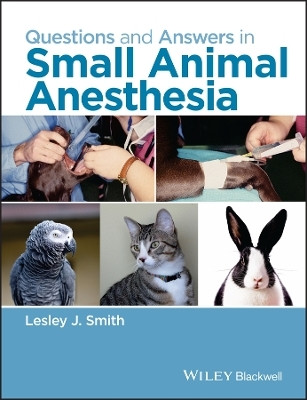 Questions and Answers in Small Animal Anesthesia(English, Paperback, unknown)