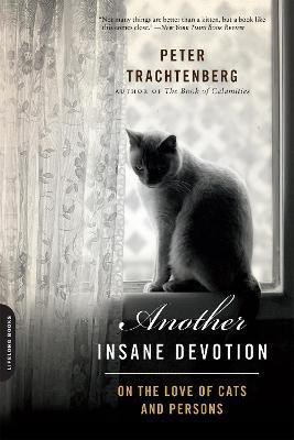 Another Insane Devotion(English, Paperback, Trachtenberg Peter)