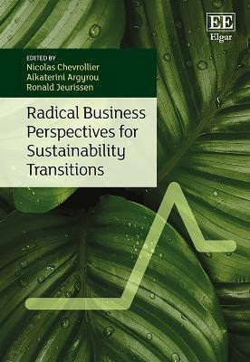 Radical Business Perspectives for Sustainability Transitions(English, Hardcover, unknown)