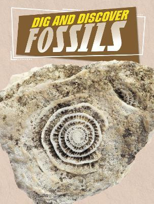 Dig and Discover Fossils(English, Paperback, Amin Anita Nahta)