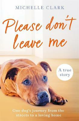 Please Don't Leave Me(English, Paperback, Clark Michelle)