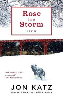 Rose in a Storm(English, Paperback, Katz Jon)