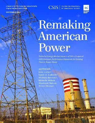 Remaking American Power(English, Paperback, Larsen John)