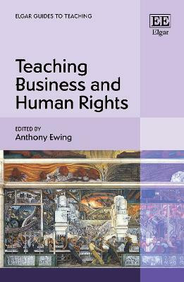 Teaching Business and Human Rights(English, Hardcover, unknown)