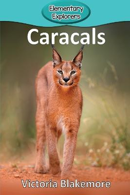 Caracals(English, Paperback, Blakemore Victoria)