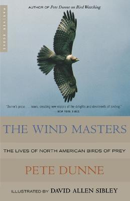 The Wind Masters(English, Paperback, Dunne Pete)