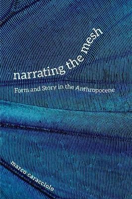 Narrating the Mesh(English, Paperback, Caracciolo Marco)