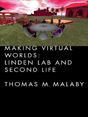 Making Virtual Worlds(English, Hardcover, Malaby Thomas)