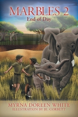 Marbles 2(English, Paperback, White Myrna Doreen)