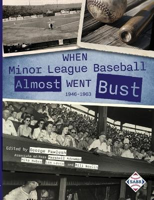 When Minor League Baseball Almost Went Bust(English, Paperback, unknown)