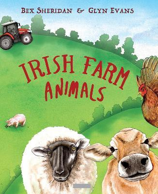 Irish Farm Animals(English, Paperback, Evans Glyn)
