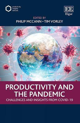 Productivity and the Pandemic(English, Hardcover, unknown)