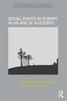 SOCIAL RIGHTS IN EUROPE IN AN AGE OF AUSTERITY(English, Hardcover, unknown)