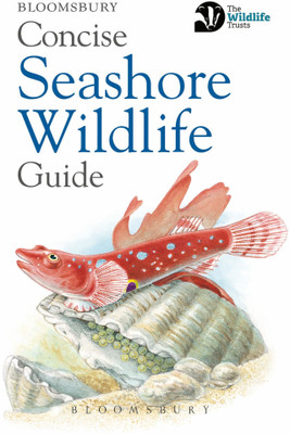 Concise Seashore Wildlife Guide(English, Paperback, Bloomsbury)