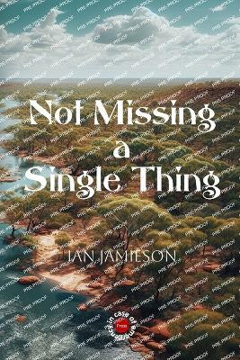 Not Missing a Single Thing(English, Paperback, Jamieson Ian)