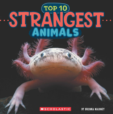 Strangest Animals (Wild World: Top 10)(Paperback, Brenna Maloney)