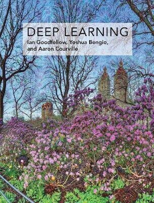 Deep Learning  - Deep Learning(English, Hardcover, Goodfellow Ian)