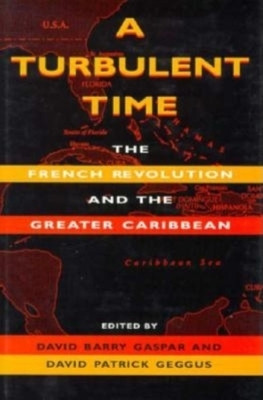 A Turbulent Time(English, Hardcover, unknown)