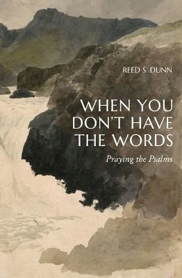 When You Don't Have the Words(English, Paperback, Dunn Reed S)