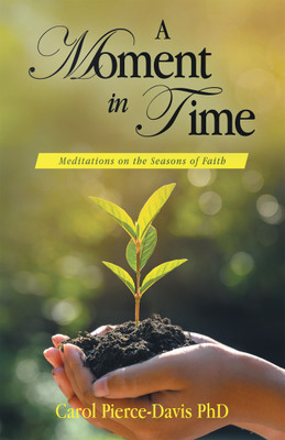 A Moment in Time(English, Paperback, Pierce-Davis Carol PhD)