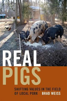 Real Pigs(English, Hardcover, Weiss Brad)