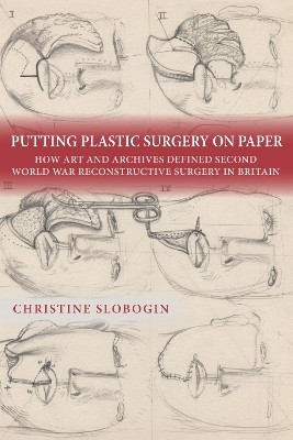 Putting Plastic Surgery on Paper(English, Hardcover, Slobogin Christine)