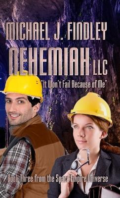 Nehemiah LLC(English, Hardcover, Findley Michael J)