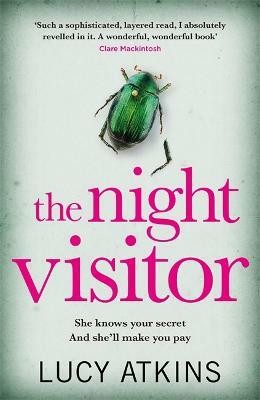 The Night Visitor(English, Paperback, Atkins Lucy)