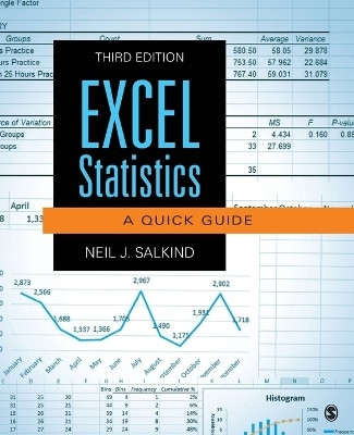 Excel Statistics(English, Paperback, Salkind Neil J.)