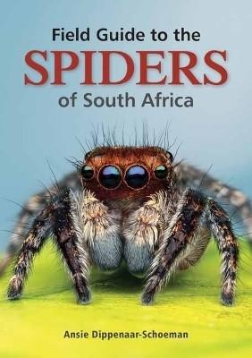 Field Guide to the Spiders of South Africa(English, Paperback, Dippenaar-Schoeman Ansie)