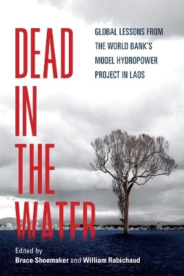 Dead in the Water(English, Hardcover, unknown)